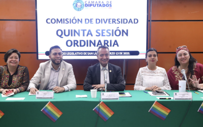 EMITEN DIAGNÓSTICO DE INSTANCIAS FEDERALES SOBRE ACCIONES EN FAVOR DE LA COMUNIDAD LGBTTTIQ+